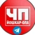 Аватар канала «ЧП Йошкар-Ола | Новости региона»