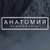 Аватар канала «Анатомия by Anton Orlov»