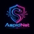 Аватар канала «AspidNetAccess»
