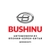 Аватар канала «BUSHINUAUTO»