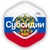 Аватар канала «Субсидии.ру🇷🇺 | Выплаты от Государства»