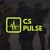 Аватар канала «CS PULSE»