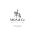 Аватар канала «MOA & CO»