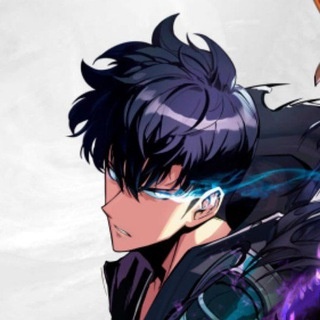 Аватар канала «Solo Leveling Arise | Поднятие уровня в одиночку»