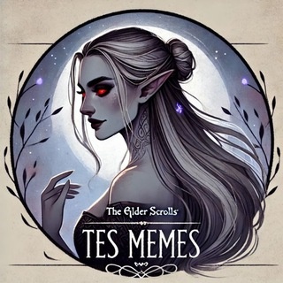 Аватар канала «TES Memes»