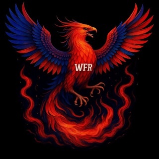 Аватар канала «WFR (Феминизм)»