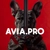 Аватар канала «Avia.pro»