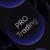 Аватар канала «PRO Trading»