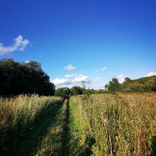 Аватар канала «Хайкинг "Бодрыми тропами" (номер заявления РКН 7081988371)»