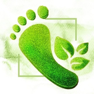 Аватар группы «Босоногие будни»