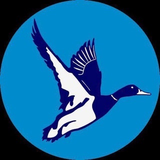 Аватар канала «АФИША ЧЕБОКСАРЫ»