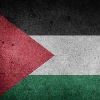 Аватар канала «KhamzatChimaev»