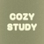 Аватар канала «Cozy study 📚»