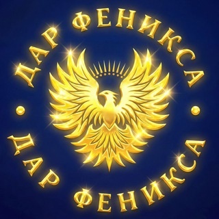 Аватар канала «ДАР ФЕНИКСА»