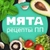 Аватар канала «МЯТА | рецепты ПП»