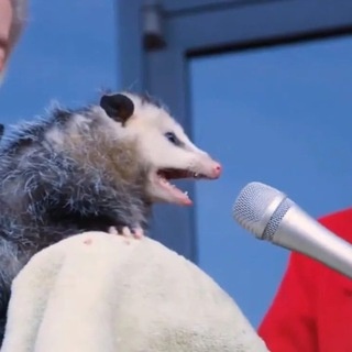 Аватар канала «Ор с доставкой»