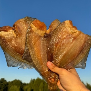 Аватар канала «МУРМАНСКИЙ ЁРШ»