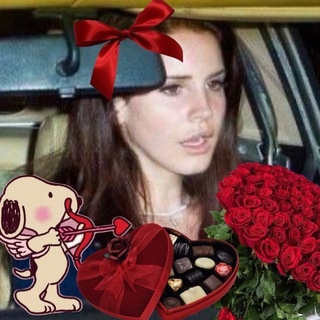 Аватар канала «femcel diary»