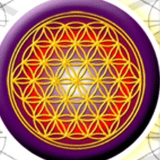 Аватар группы «ЦВЕТОК ЖИЗНИ»