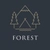 Аватар канала «FOREST / ЛЕС»