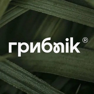 Аватар канала «БИОХАКИНГ🧠 I ГРИБNIK™»