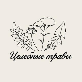 Аватар канала «Целебные травы 🌿»
