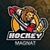 Аватар канала «Хоккейный Магнат©️»