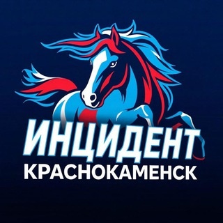 Аватар канала «ИНЦИДЕНТ КРАСНОКАМЕНСК»