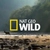Аватар канала «National Geographic»