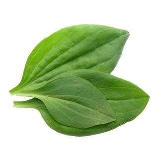 Аватар канала «лидер мнений среди удобрений»