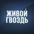 Аватар канала «Живой Гвоздь»