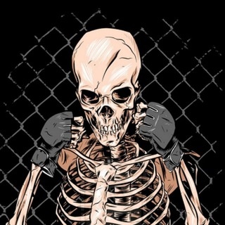 Аватар канала «BEST of MMA»