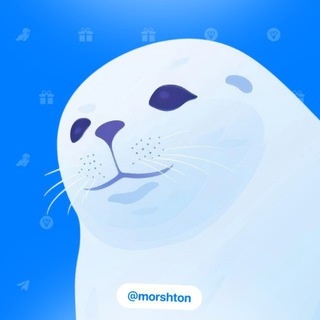 Аватар канала «morsh.ton»