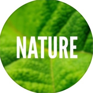 Аватар канала «Nature 🌏»