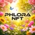 Аватар канала «PHLORA NFT»