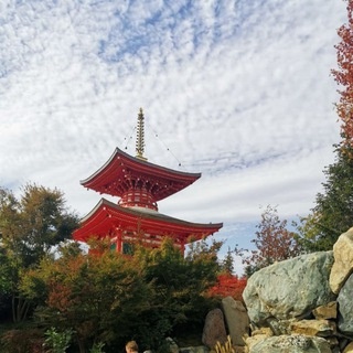 Аватар канала «ПОЕЗДКИ ВЫХОДНОГО ДНЯ ИЗ НОВОРОССИЙСКА»
