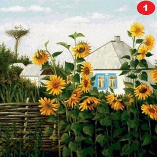 Аватар канала «Огород и дача - большая удача!»