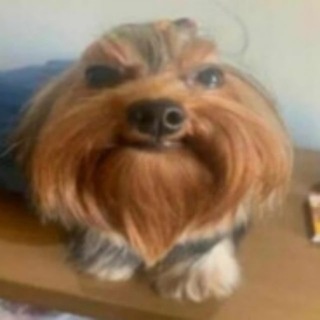 Аватар канала «🌈подвал p0n4ek'а»