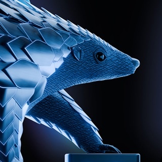 Аватар канала «Pangolin Community»