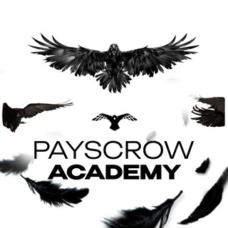 Аватар канала «Payscrow Academy»