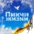 Аватар канала «пикчи жизни»
