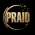Аватар канала «P R A I D»