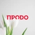 Аватар канала «Группа «ПРОДО»»