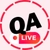 Аватар канала «QA Live 🚩 Тестирование ПО»