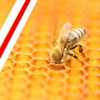 Аватар канала «Разумный инвестор»