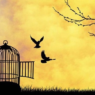 Аватар канала «Панические атаки, ОКР и здоровый образ жизни ~~~🧘🏻♀️——»