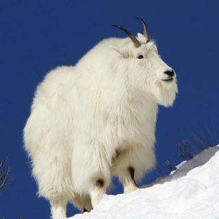 Аватар канала «Ярослав sellcash»