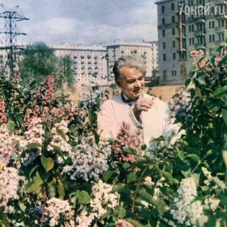 Аватар группы «Airport/Sokol Da Neighborhood»