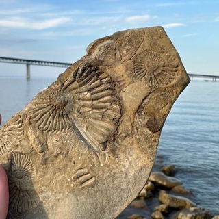 Аватар канала «Афиша и все события. Ульяновск»