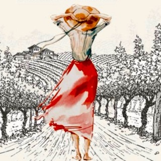 Аватар канала «Вино и Ко»